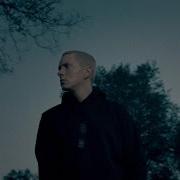 Le texte musical SURVIVAL de EMINEM est également présent dans l'album Survival (2013)