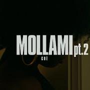 Le texte musical MOLLAMI de GUÈ est également présent dans l'album Vero + (2015)
