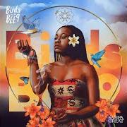 Le texte musical BLACK GIRL MAGIK de SAMPA THE GREAT est également présent dans l'album Birds and the bee9 (2017)