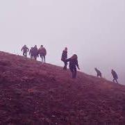 Serole Serole