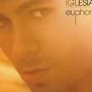 Le texte musical I LIKE IT de ENRIQUE IGLESIAS est également présent dans l'album Euforia (2010)