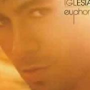 Le texte musical DIRTY DANCER de ENRIQUE IGLESIAS est également présent dans l'album Euphoria (2010)