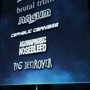 Le texte musical UNDER THE SUN, EVERY DAY COMES AND GOES de ENTOMBED est également présent dans l'album Family favourites (1997)