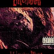 Le texte musical HEAVENS DIE de ENTOMBED est également présent dans l'album Wolverine blues (1993)