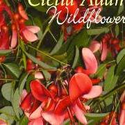 Le texte musical MY MOTHERS WEDDING BAND de CLELIA ADAMS est également présent dans l'album Wildflowers (2008)