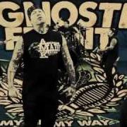 Le texte musical TIME HAS COME de AGNOSTIC FRONT est également présent dans l'album My life my way (2011)