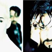 Le texte musical WHEN THE DAY GOES DOWN de EURYTHMICS est également présent dans l'album We too are one (1989)