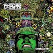 Le texte musical TIMELORD TWO (PARADOXICAL REACTION) de AGORAPHOBIC NOSEBLEED est également présent dans l'album Agorapocalypse (2009)