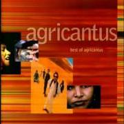 Le texte musical TENERE de AGRICANTUS est également présent dans l'album Best of agricantus (1999)