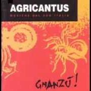 Le texte musical SPUNTA LU SULI de AGRICANTUS est également présent dans l'album Gnanzù