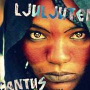 Le texte musical U CONI U CONI de AGRICANTUS est également présent dans l'album Tuareg (1996)