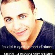 Le texte musical C'EST LA VIE de FAUDEL est également présent dans l'album A quoi ca sert d'aimer ? (2011)