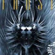 Le texte musical CHAMBERS OF FEARS de FAUST est également présent dans l'album Misantropic supremacy (2004)