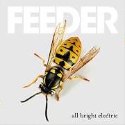 Le texte musical BURN THE BRIDGES de FEEDER est également présent dans l'album The singles (2006)