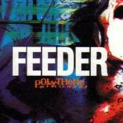 Le texte musical CRASH de FEEDER est également présent dans l'album Polythene (1997)