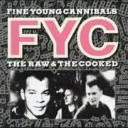 Le texte musical COULDN'T CARE MORE de FINE YOUNG CANNIBALS est également présent dans l'album The finest