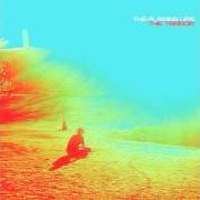 Le texte musical YOU ARE ALONE de THE FLAMING LIPS est également présent dans l'album The terror (2013)