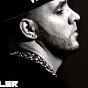 Le texte musical MASCHINE de FLER est également présent dans l'album Blaues blut (2013)