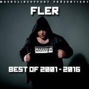 Le texte musical MEINE STRASSE de FLER est également présent dans l'album Fler (2009)