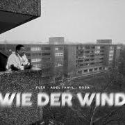 Le texte musical IMMER NOCH AGGRO de FLER est également présent dans l'album Wie der wind (2023)