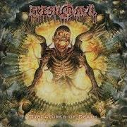 Le texte musical FLESHCULT de FLESHCRAWL est également présent dans l'album Structures of death (2007)