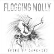 Le texte musical DON'T SHUT 'EM DOWN de FLOGGING MOLLY est également présent dans l'album Speed of darkness (2011)