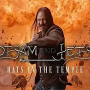 Le texte musical A TASTE FOR WAR de FLOTSAM & JETSAM est également présent dans l'album Rats in the temple (2026)