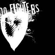 Le texte musical TIMES LIKE THESE (ONE-WAY MOTORWAY) de FOO FIGHTERS est également présent dans l'album One by one (2002)