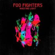 Le texte musical A MATTER OF TIME de FOO FIGHTERS est également présent dans l'album Wasting light (2011)