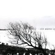 Le texte musical PERNICIOUS de FOREST OF SHADOWS est également présent dans l'album Six waves of woe (2008)