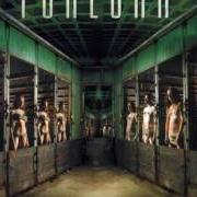 Le texte musical CUBES de FORLORN est également présent dans l'album Hybernation (2003)