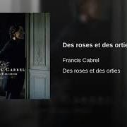 Des roses et des orties