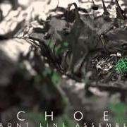 Le texte musical LEVELED de FRONT LINE ASSEMBLY est également présent dans l'album Echoes (2014)