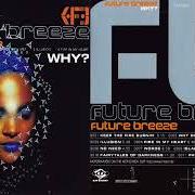 Le texte musical FIRE IN MY HEART de FUTURE BREEZE est également présent dans l'album Why? (1996)