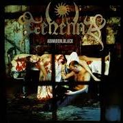 Le texte musical THE KILLING KIND de GEHENNA est également présent dans l'album Admiron black (1998)