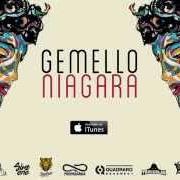 Le texte musical TESTA URAGANO de GEMELLO est également présent dans l'album Niagara (2014)