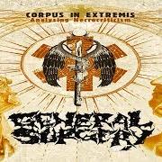Le texte musical NECRONOMICS de GENERAL SURGERY est également présent dans l'album Corpus in extremis: analysing necrocriticism (2009)