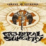 Le texte musical ICHOR de GENERAL SURGERY est également présent dans l'album Corpus in extremis: analysing necrocriticism (2009)