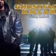 Le texte musical DOGS OF WAR de GHOSTFACE KILLAH est également présent dans l'album Fishscale (2006)