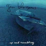 Le texte musical KELI RICHARDS de GIN BLOSSOMS est également présent dans l'album Up and crumbling [ep] (1991)