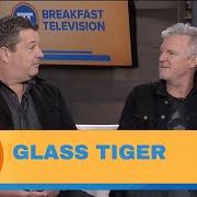 Le texte musical DON'T FORGET ME (WHEN I'M GONE) de GLASS TIGER est également présent dans l'album 31 (2018)