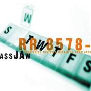 Le texte musical RY RY'S SONG de GLASSJAW est également présent dans l'album Everything you ever wanted to know about silence (2000)