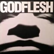Le texte musical VEINS de GODFLESH est également présent dans l'album Godflesh (1988)