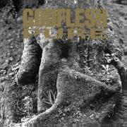 Le texte musical I WASN'T BORN TO FOLLOW de GODFLESH est également présent dans l'album Pure (1992)