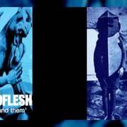 Le texte musical DESCENT de GODFLESH est également présent dans l'album Us and them (1999)