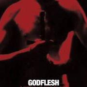 Le texte musical OBEYED de GODFLESH est également présent dans l'album A world lit only by fire (2014)