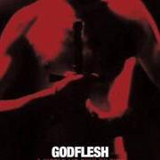 Le texte musical TOWERS OF EMPTINESS de GODFLESH est également présent dans l'album A world lit only by fire (2014)