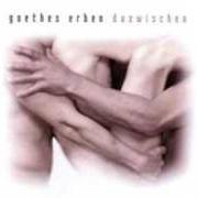Le texte musical ZWISCHENZEIT de GOETHES ERBEN est également présent dans l'album Dazwischen (2005)