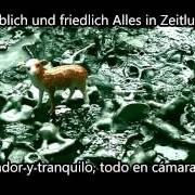 Le texte musical GANZ SANFT de GOETHES ERBEN est également présent dans l'album Nichts bleibt wie es war (2001)