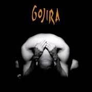 Le texte musical BLOW ME AWAY YOU (NIVERSE) de GOJIRA est également présent dans l'album Terra incognita (2001)